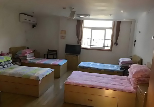 深圳研究生落户政策2025_舒淇导演首作入围威尼斯主竞赛单元，黄渤《浪浪人生》定档12月 毕竟名餐南作饮企业为知俏江